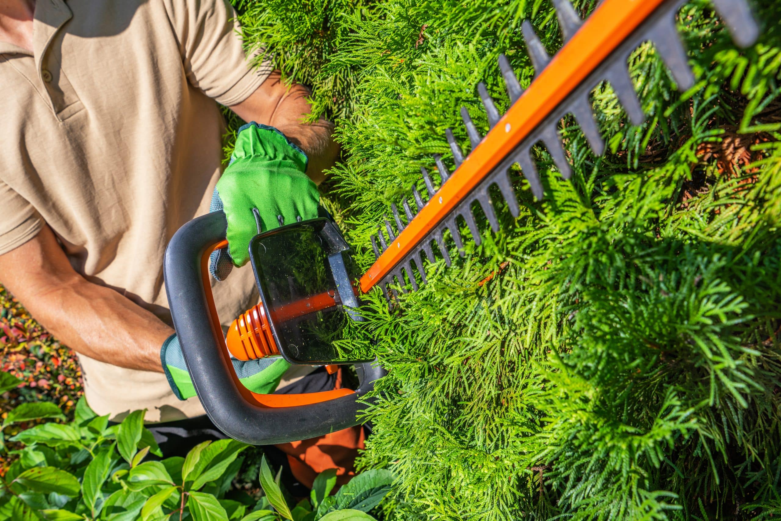 Landscape Maintenance for Commercial Sites: First Impressions Matter