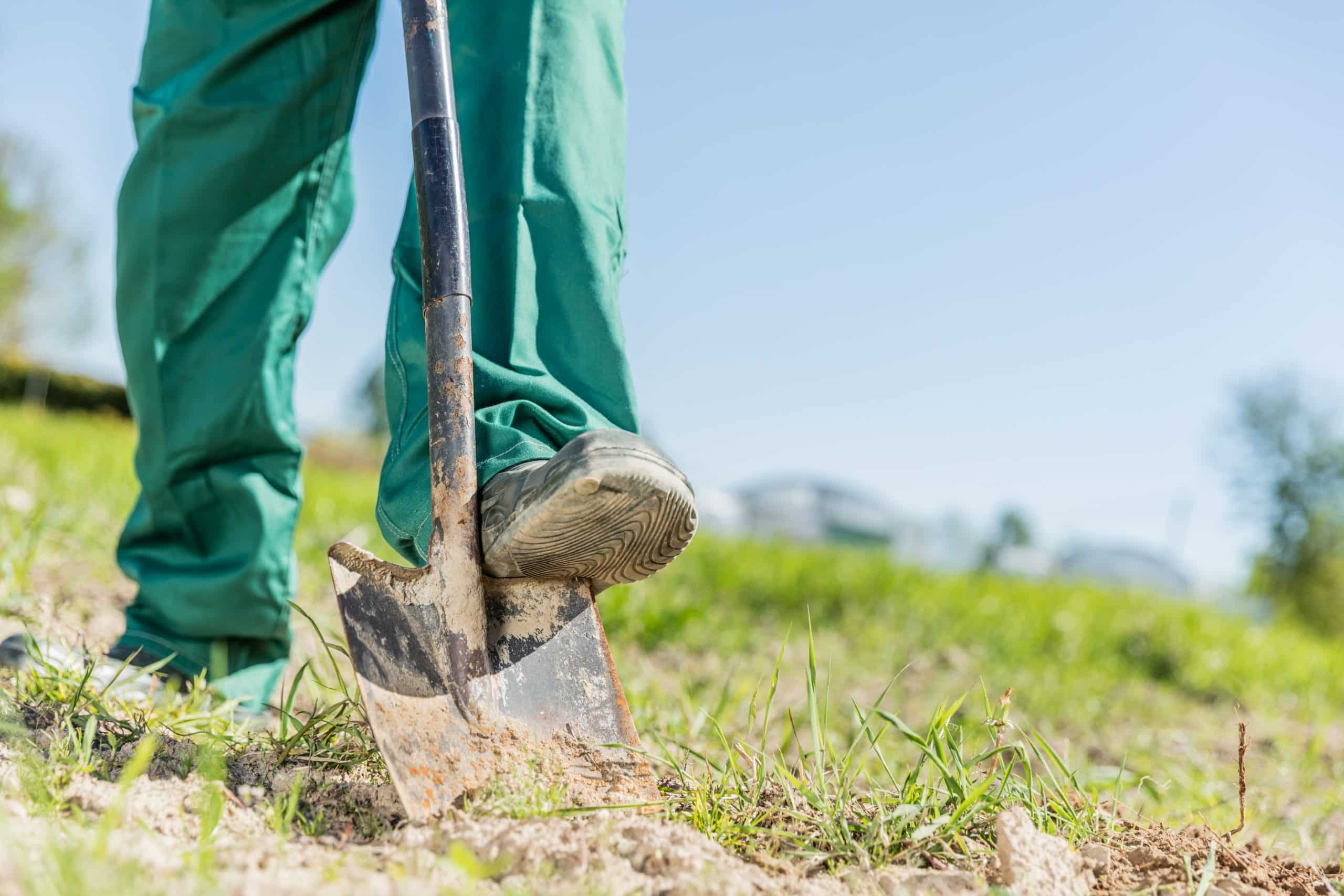 Why Small Grounds Maintenance Companies Often Provide Better Service