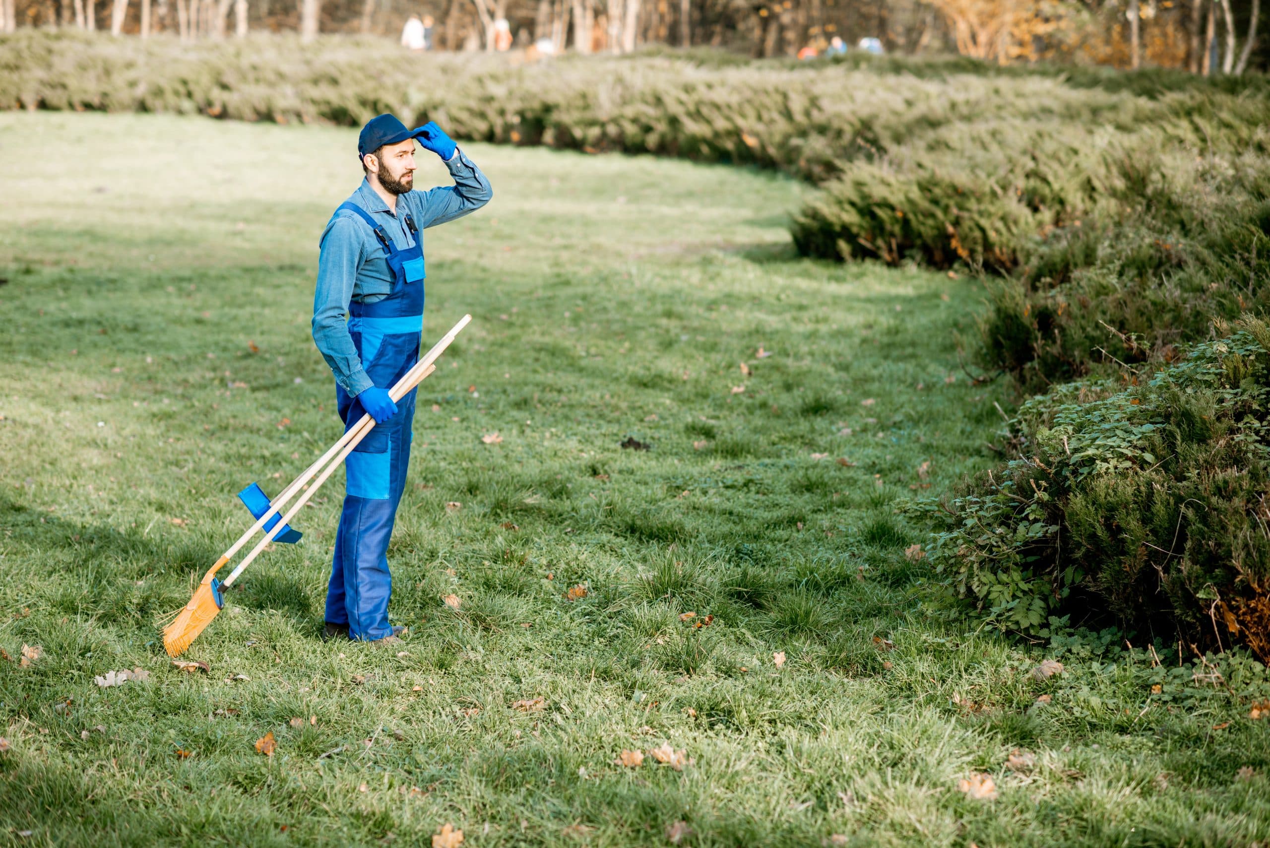Landscape Maintenance Tips for Businesses in Essex: Keep Your Grounds Pristine Year-Round