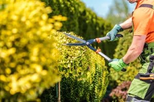 landscape maintenance