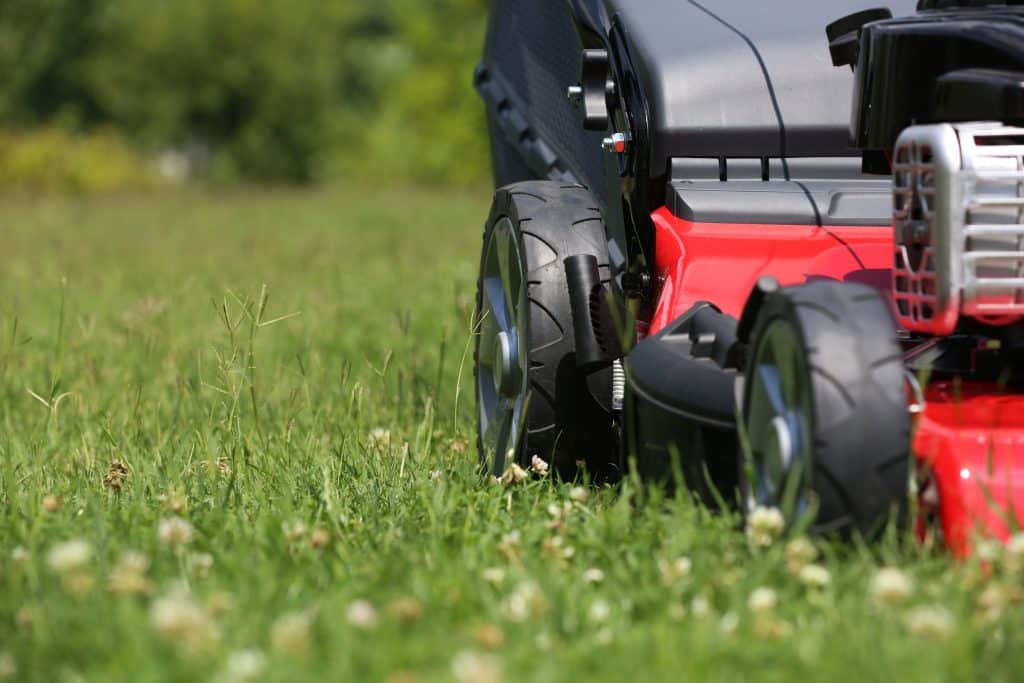 grounds maintenance
