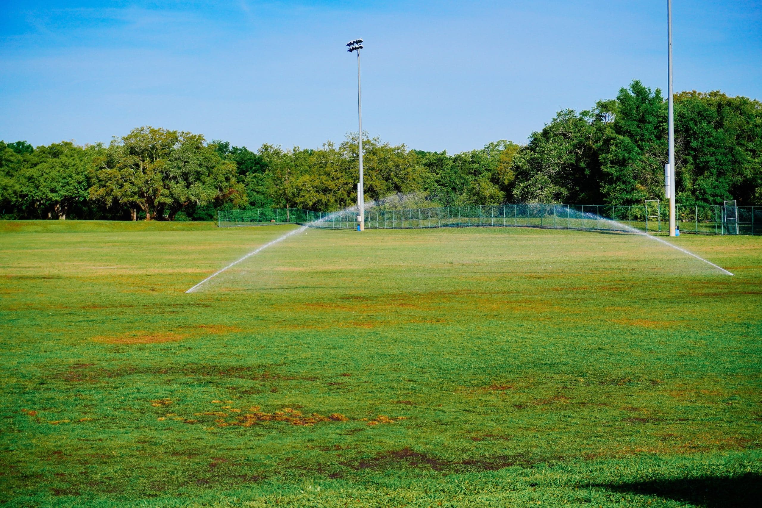 How to write a grounds maintenance tender: what buyers really look for