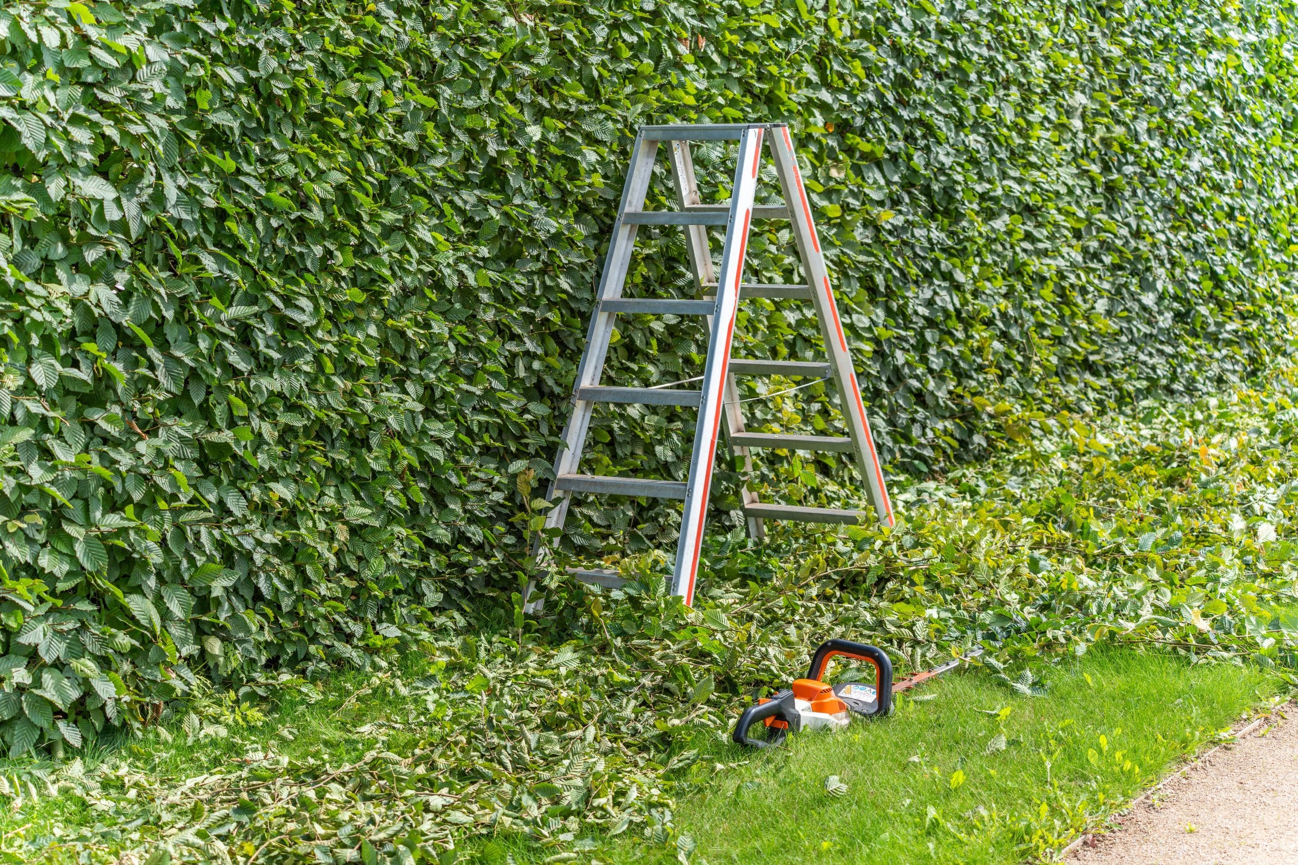 What Is Included in a Commercial Landscape Maintenance Contract?