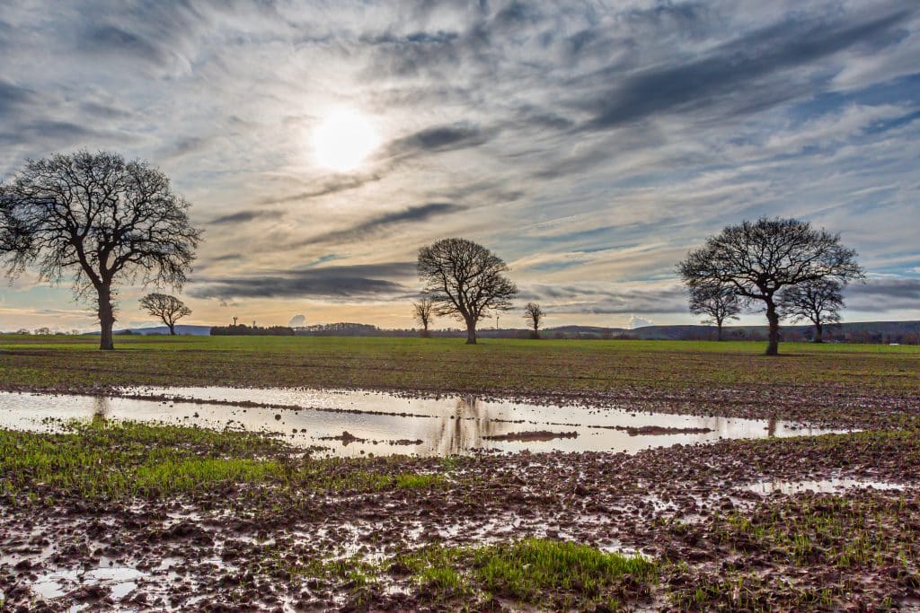 waterlogged