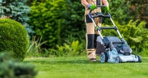 grass cutting
