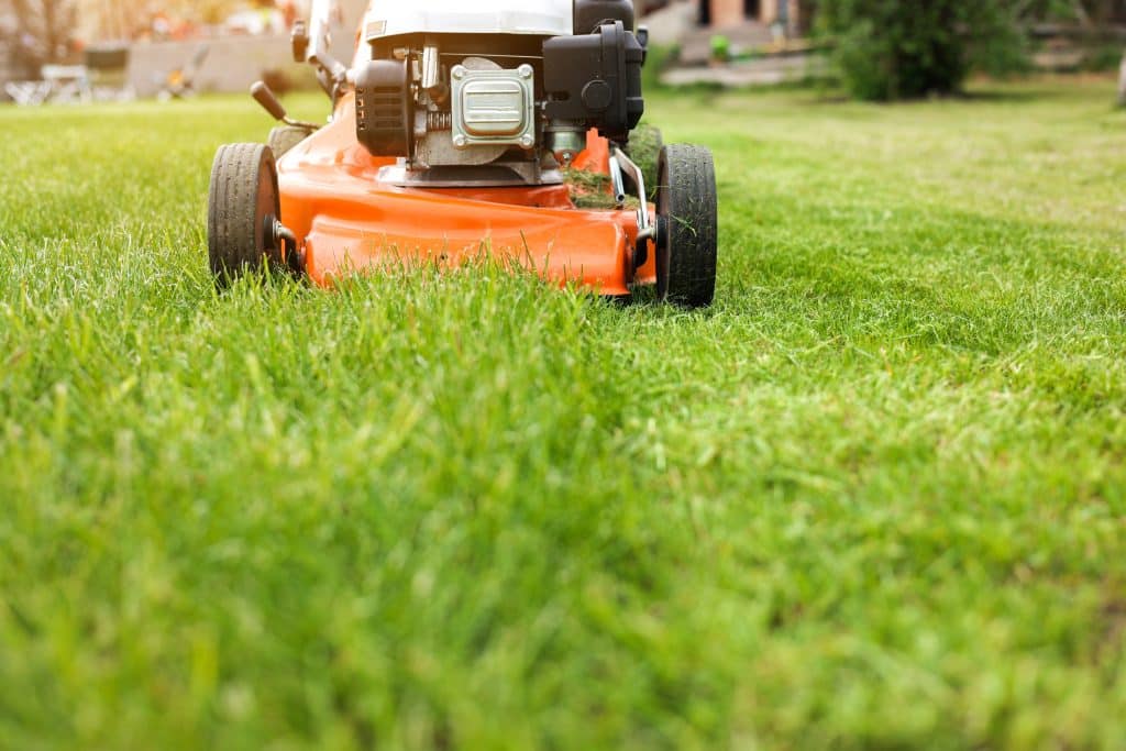 grass cutting