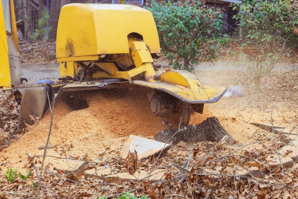 stump removal